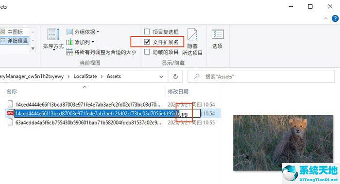 文件扩展名
