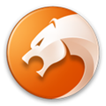 金山猎豹浏览器 V7.1.3622.400 最新版