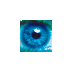 第三只眼监控软件 v2021.18.9 电脑版