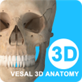 维萨里3D解剖全集终身版 V4.0.1 免费版