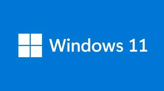 Windows 11 22000.160免激活專業版X64位 （PE下安裝）