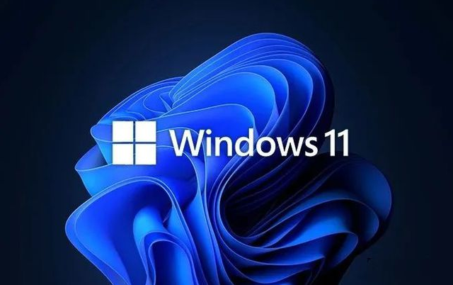 Windows 11正式专业版