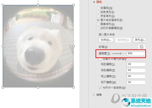 PPT2016设置图片透明度
