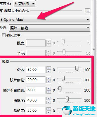 通过PhotoZoom放大图片不失真的详细操作流程(图5)