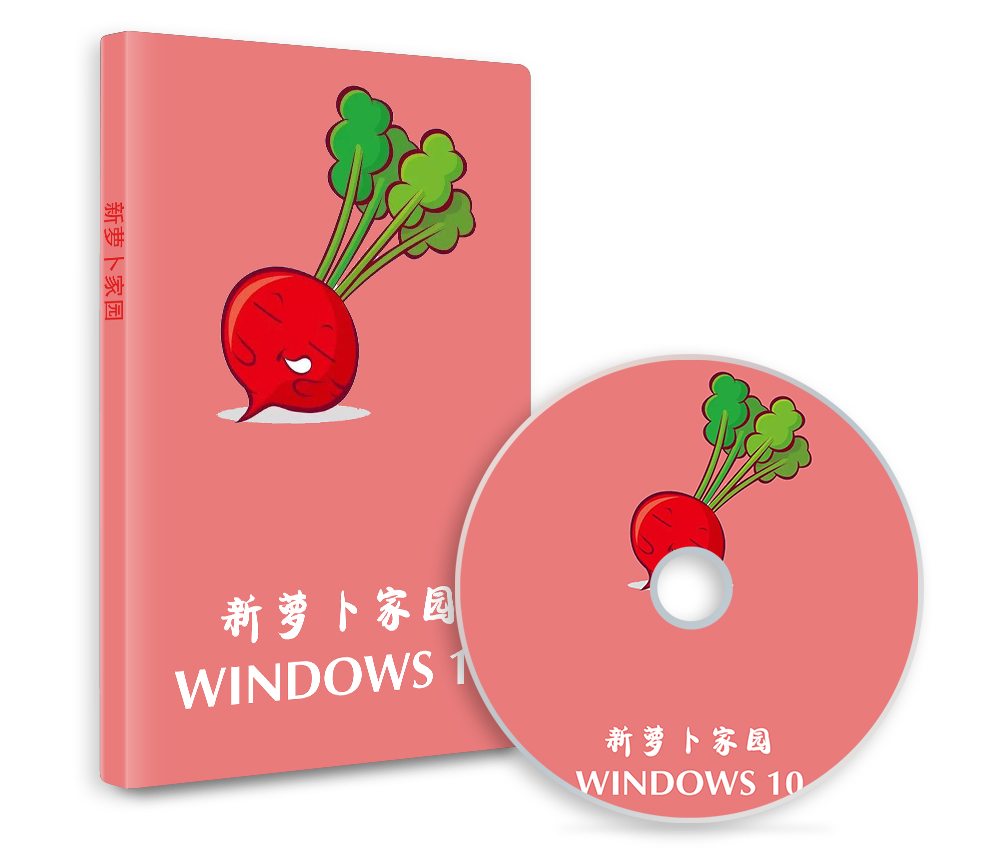 新萝卜家园Windows10专业版64位系统2022.01