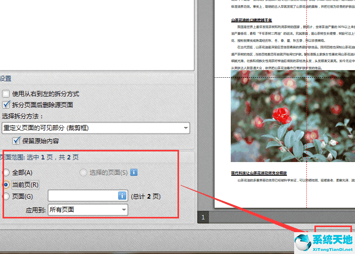 迅捷pdf编辑器拆分PDF页面的操作教程截图