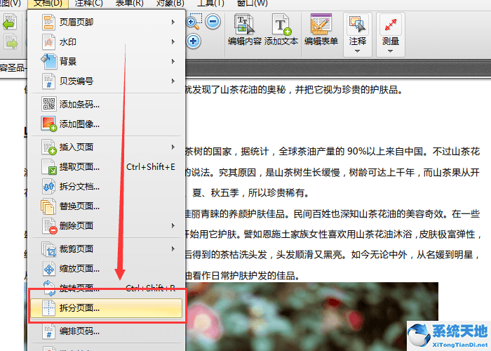 迅捷pdf编辑器拆分PDF页面的操作教程截图