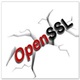 OpenSSL 3.0.0 中文版下载