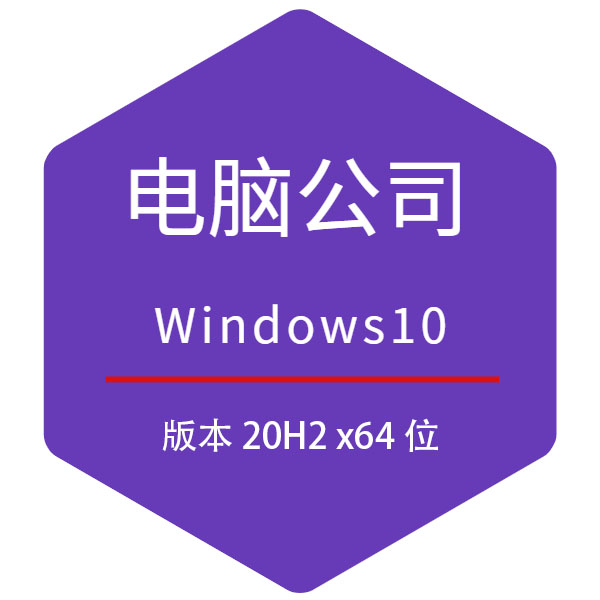 電腦公司Win10 20H2專業版 64位系統下載 2020.12