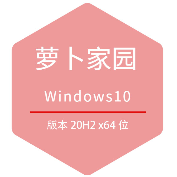 新萝卜家园系统Win10 20H2 专业版系统下载 64位 2021.01