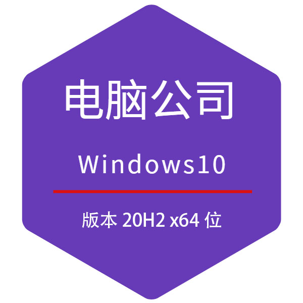 電腦公司W(wǎng)in10 20H2專業(yè)版 64位系統(tǒng)下載 2021.01