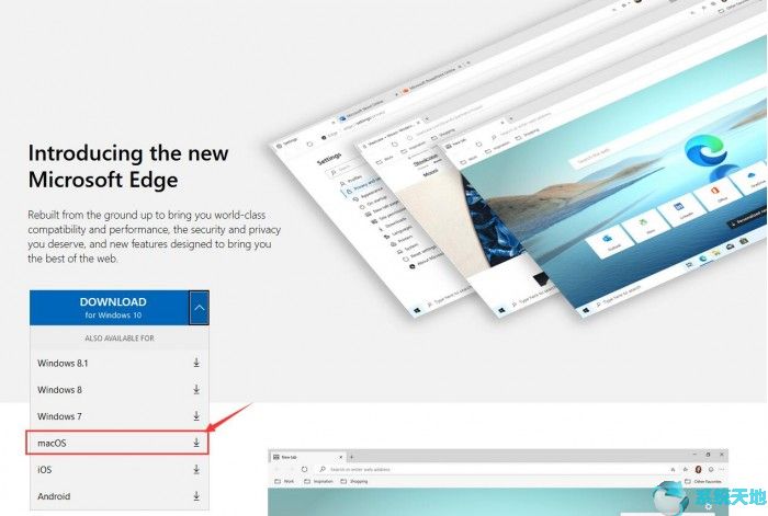 macOS平台Edge浏览器发布正式版下载