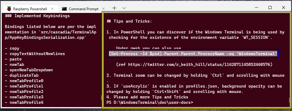 Windows Terminal Preview