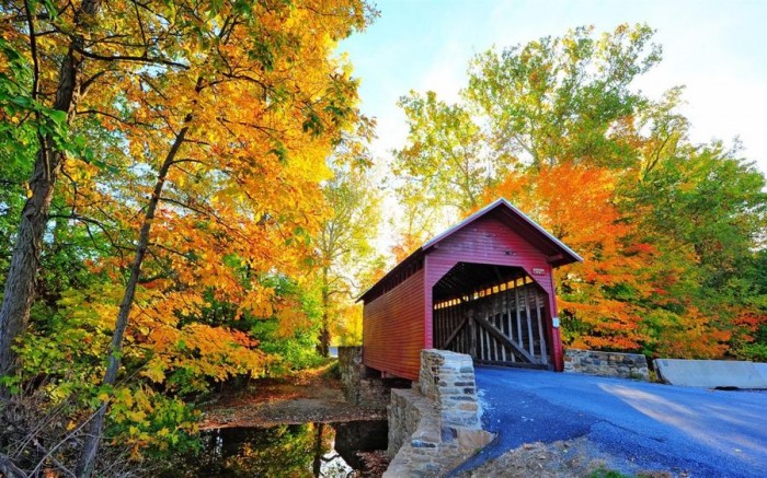 Bridges in Autumn主题