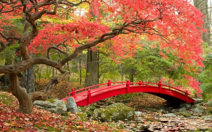 Bridges in Autumn主题