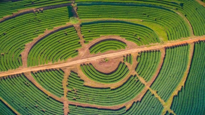 Aerial Farmland PREMIUM主题高清壁纸