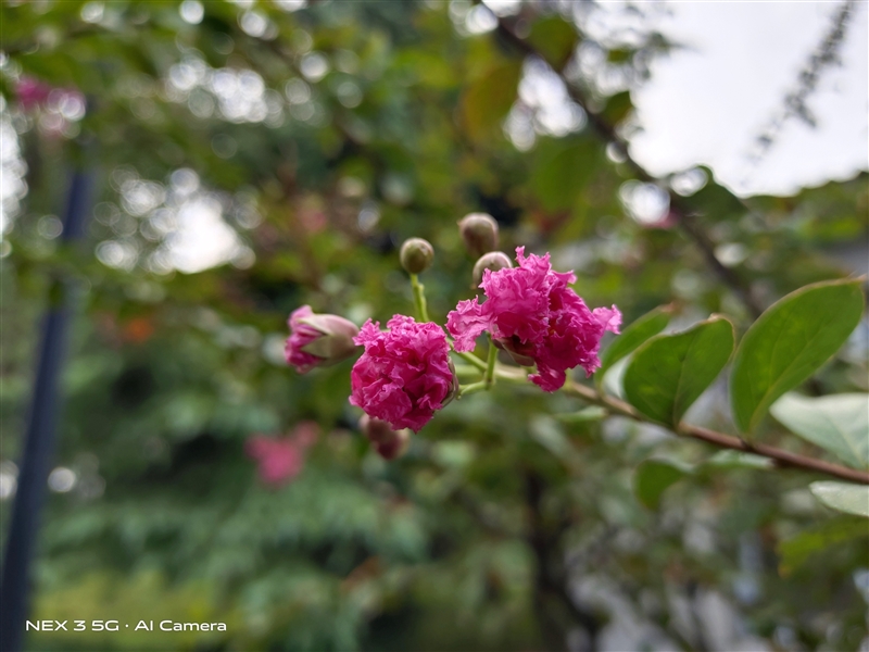 vivo NEX 3 5G評(píng)測(cè)