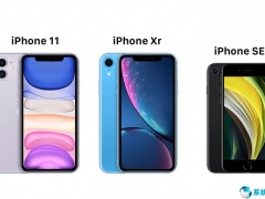 买哪款？苹果iPhone SE 2、iPhone 11、 iPhone XR对比