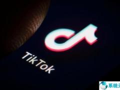 TikTok 将在爱尔兰建立首个欧洲数据中心：投资 4.2 亿欧元，存储欧洲用户数据