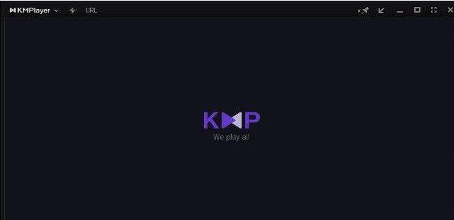 KMPlayer 4.2.2.27中文官网版