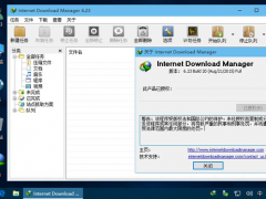 (IDM下载)Internet Download Manager中文破解版