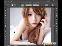 Adobe illustrator cs6专业版