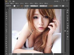 Adobe Illustrator CS5下载_AI cs5标准版