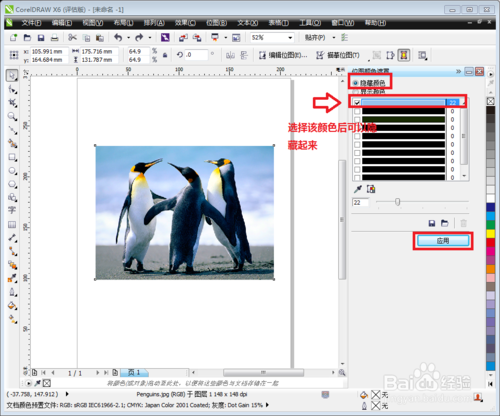 Coreldraw x8绿色中文破解版64位 