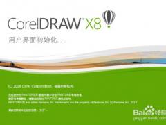 coreldraw x8绿色中文完整版