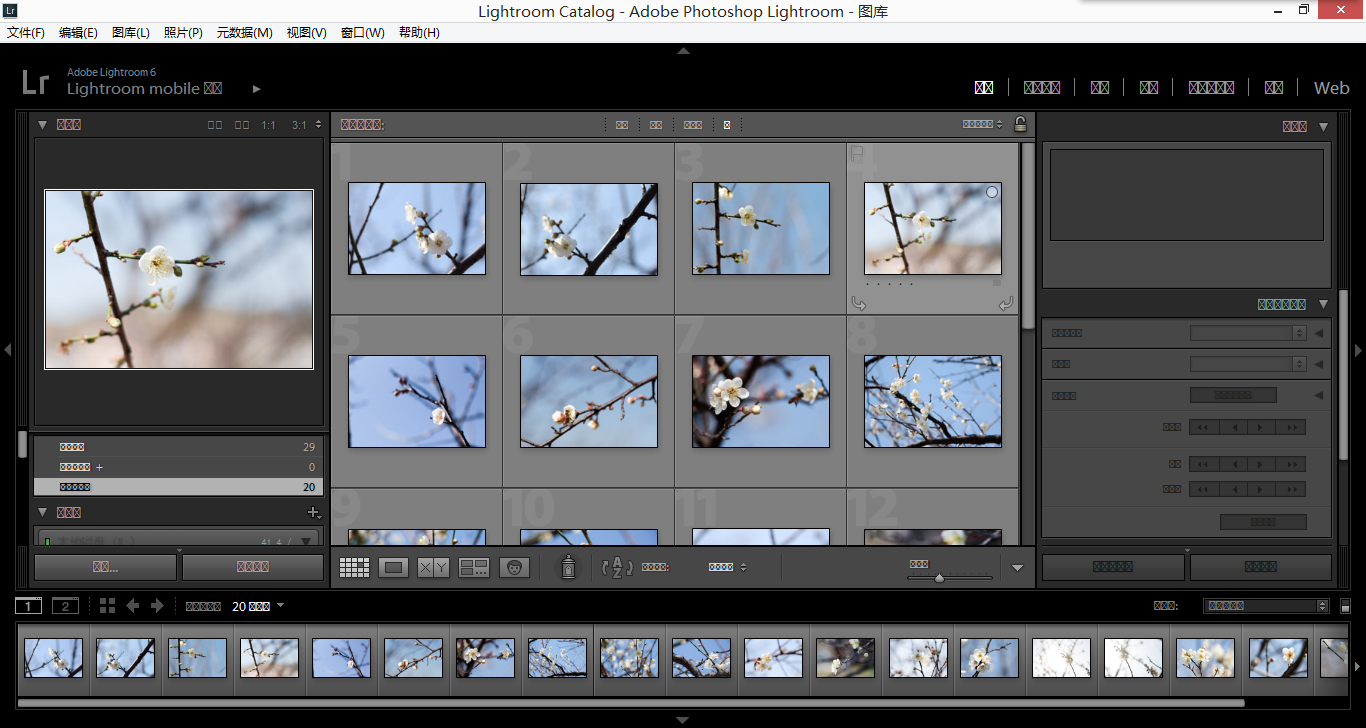 Adobe Photoshop Lightroom