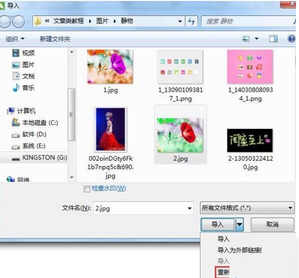 CorelDRAW2019 for mac中文正式版