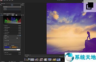 ACDSee Pro 10图片