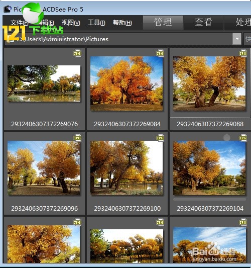 acdsee3.1绿色版下载