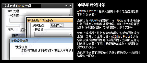 ACDSee Pro 4.0