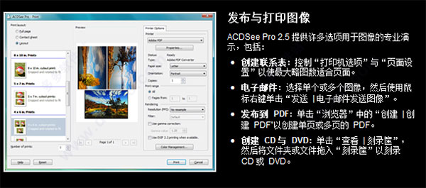 acdsee Pro龙卷风版|ACDSee Pro V2.5.363 中文绿色破解版