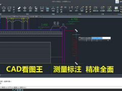 CAD看圖王標準版