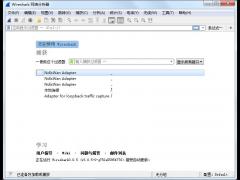 Wireshark中文版下载 v3.0.5