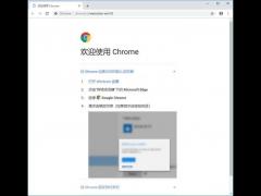 Chrome浏览器测试版 v71.0.3578.30 官方版