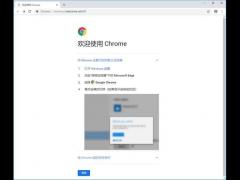 谷歌浏览器2018最新/谷歌浏览器(Google Chrome) v70.0.3538.110绿色正式版