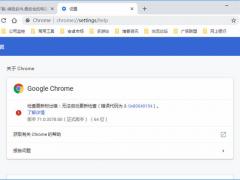 Chrome浏览器 v79.0.3928.4最新版