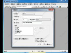 SecureCRT 8.5綠色版