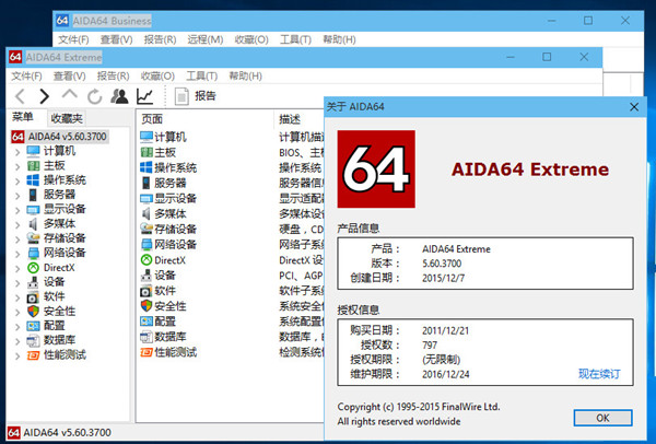 AIDA64单文件版