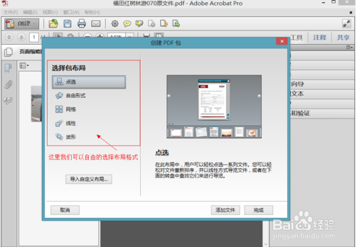 Adobe Acrobat Professional