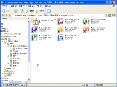 office2007中文专业版(Office2007 Professional)