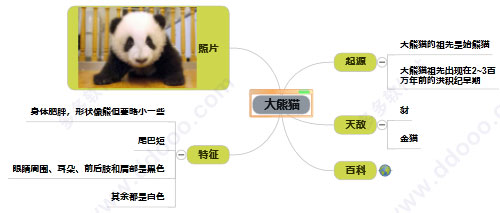 鷹翔思維導(dǎo)圖軟件(MindV Mind Map) V1.3.5.0免費版