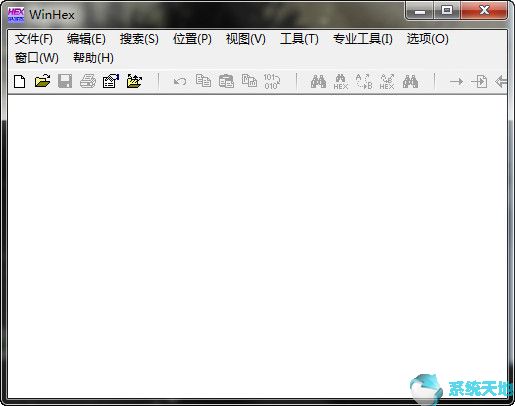 WinHex 19.8 绿色中文版