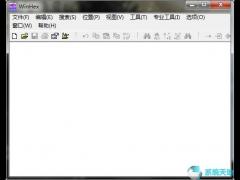 WinHex 19.8 绿色中文版