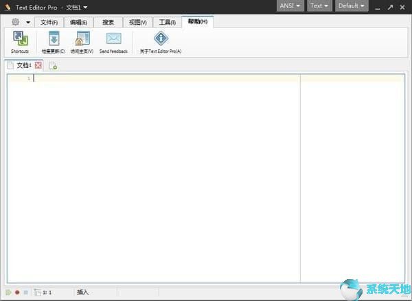 Text Editor文本编辑器 v9.0.0绿色中文版
