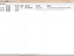 窗口活动监视工具 v2.0中文版