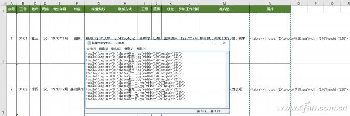 Excel制作员工档案查询-2